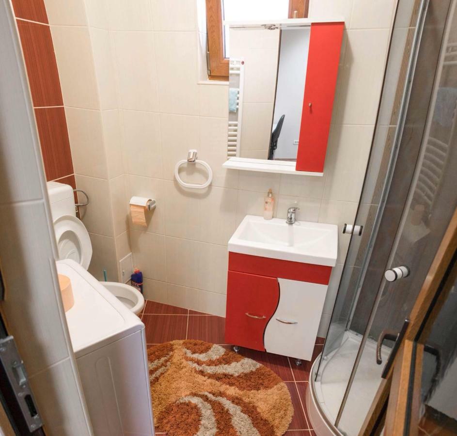 Penthouse De Lux Apartment Oradea Luaran gambar